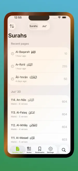The Holy Quran - Al Noor screenshot 3