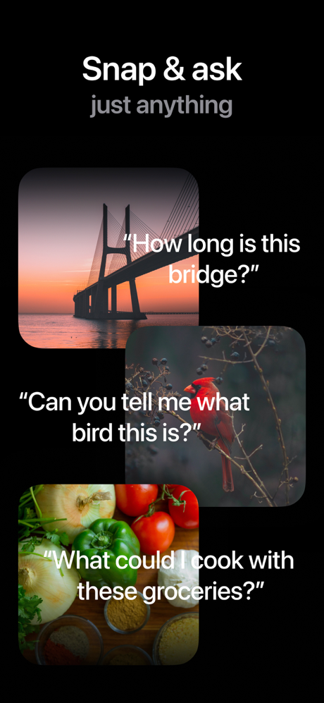 AI Cam: Identify Anything screenshot 2