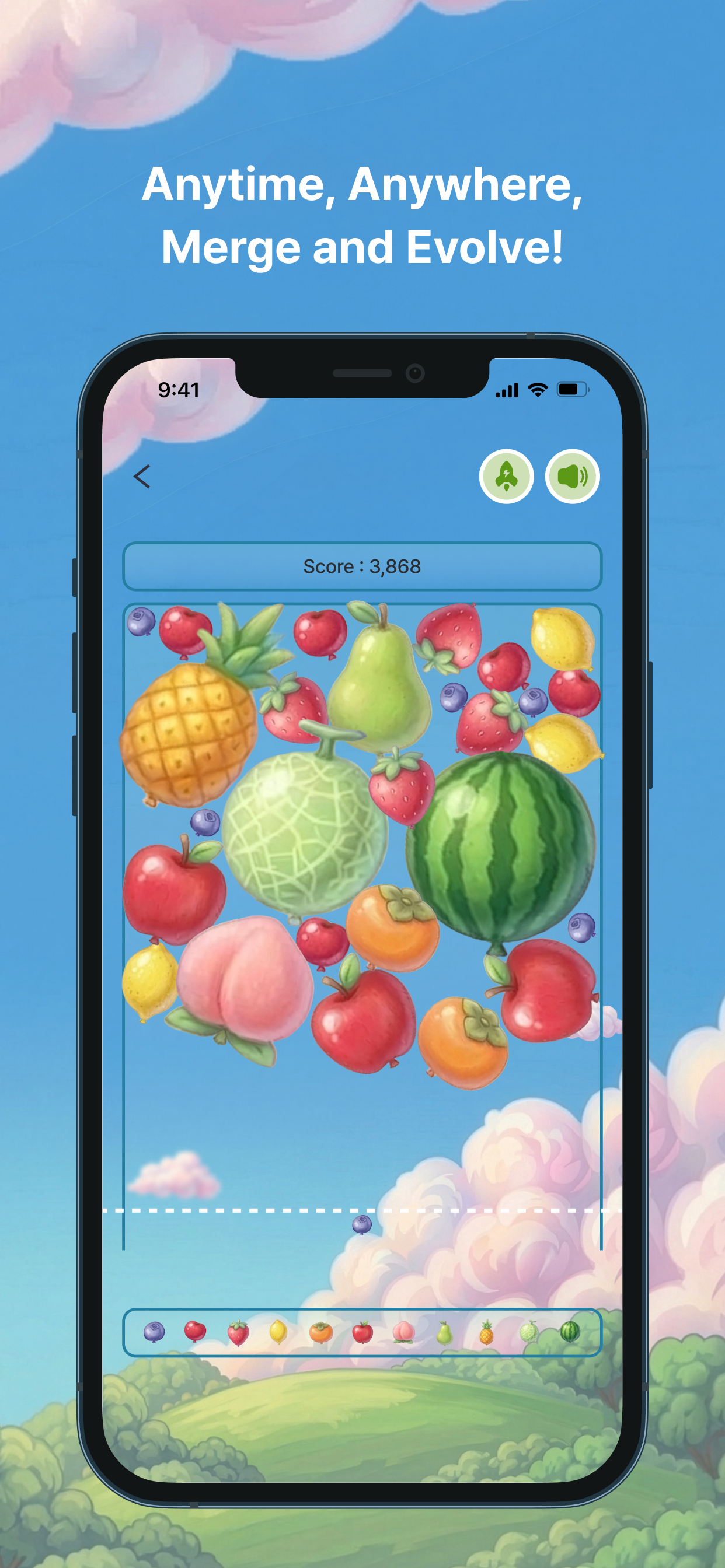 Watermelon Balloon