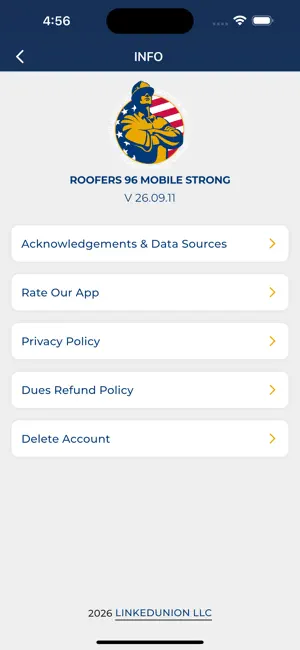 Roofers 96 screenshot 4