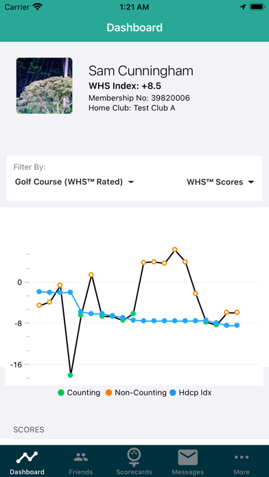 Golf Ireland Screenshot