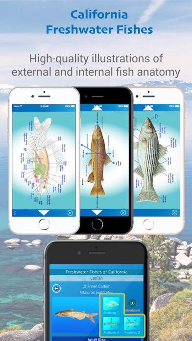 California Freshwater Fishes Screenshot