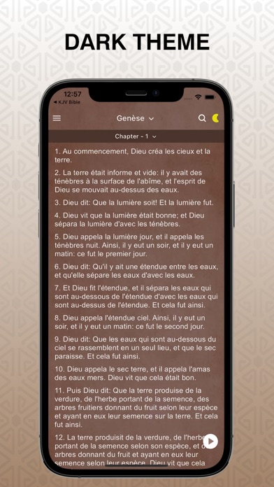 La Bible du Semeur Audio Pro Screenshot