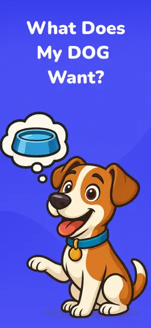 Dog Translator: Train & Game screenshot 4