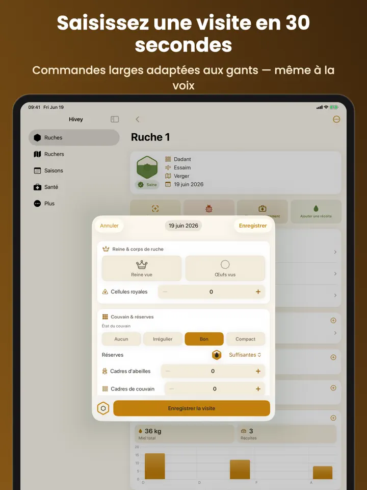 Hivey sur iPad : capture d’écran 4 sur 7