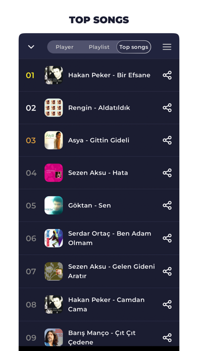 Radio Turkey Online Screenshot