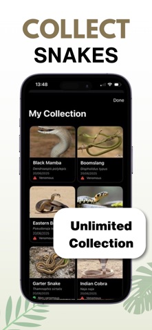 Snake Identifier - AI Scanner Screenshot 3 of 4