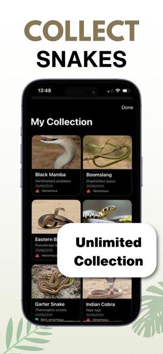 Snake Identifier - AI Scanner Screenshot 3 of 4