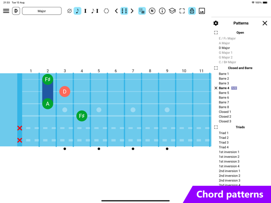 Guitar Fretboard: Scales iPad screenshot 7 - Music app
