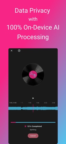 LocalSplit screenshot