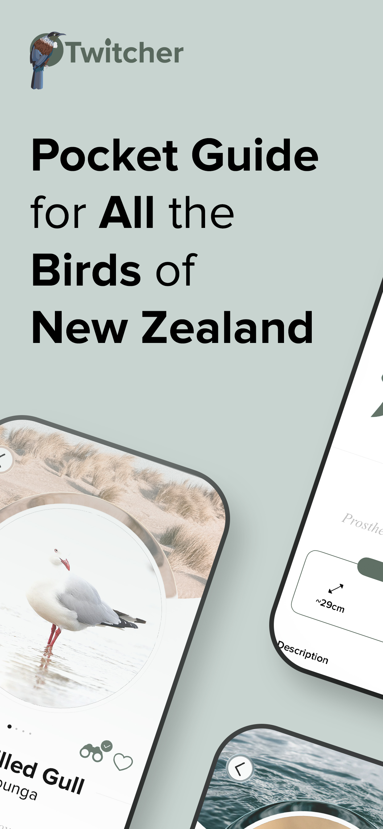 Twitcher: Birds of New Zealand