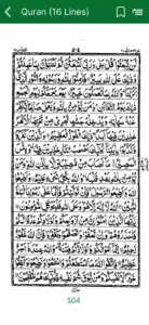 Full Quran Sharif Offline App screenshot #3 for iPhone