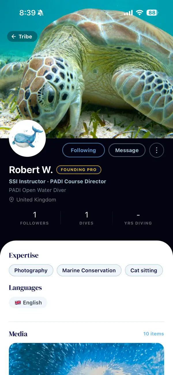 Screenshot #3 pour AfterDive