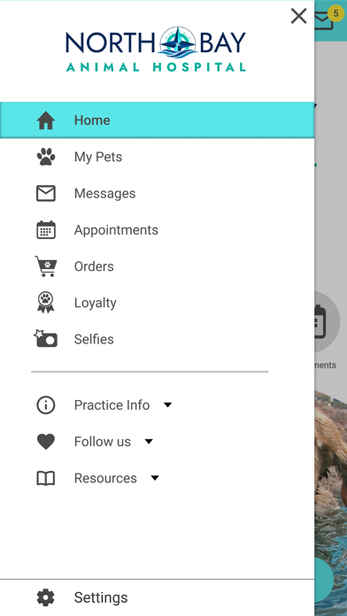 North Bay Animal Hospital iPhone screenshot 5 - Business app