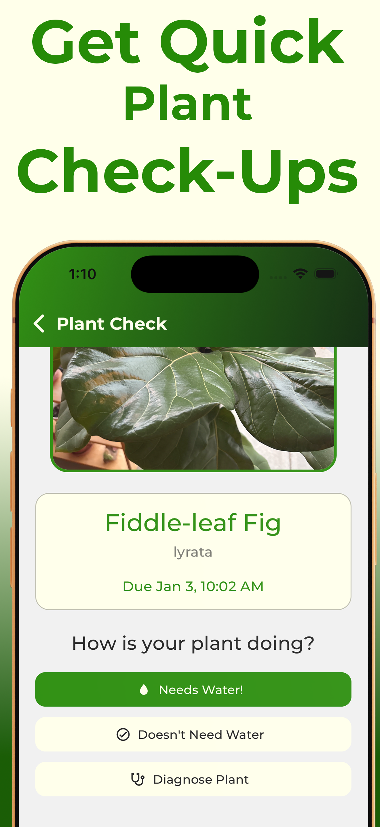 Plantbeat: Plant Identifier screenshot 5