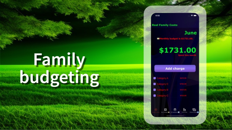 My Real Family Costo Control