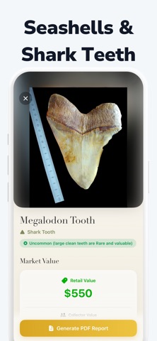 Stone Identifier AI Rock Scan iPhone screenshot