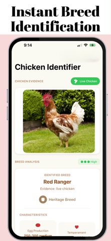 chicken identifier screenshot