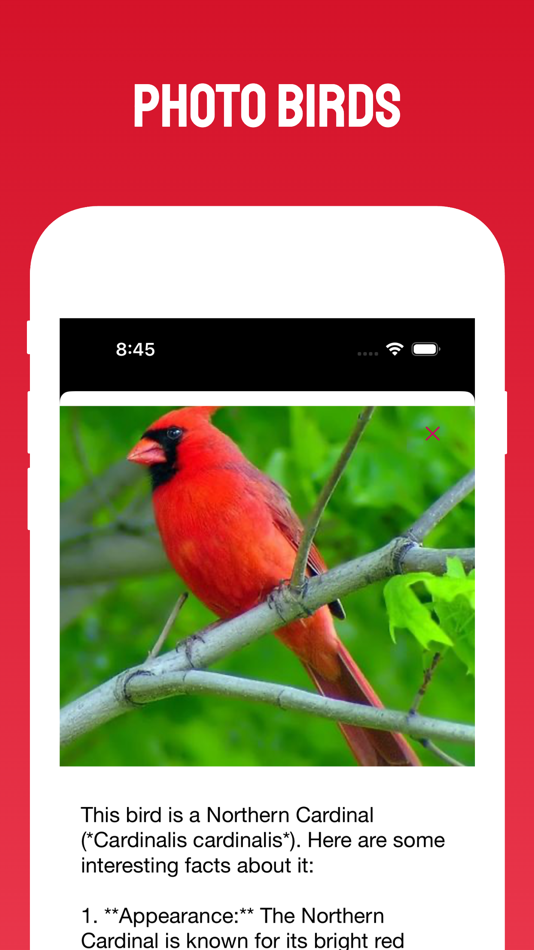#4. Bird Scanner (iOS) 由: RLAM FZCO