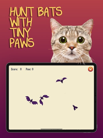 Cat Games iPad screenshot
