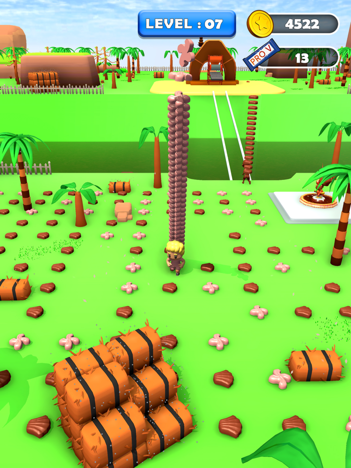 Chocolate Boy Run Bridge Race