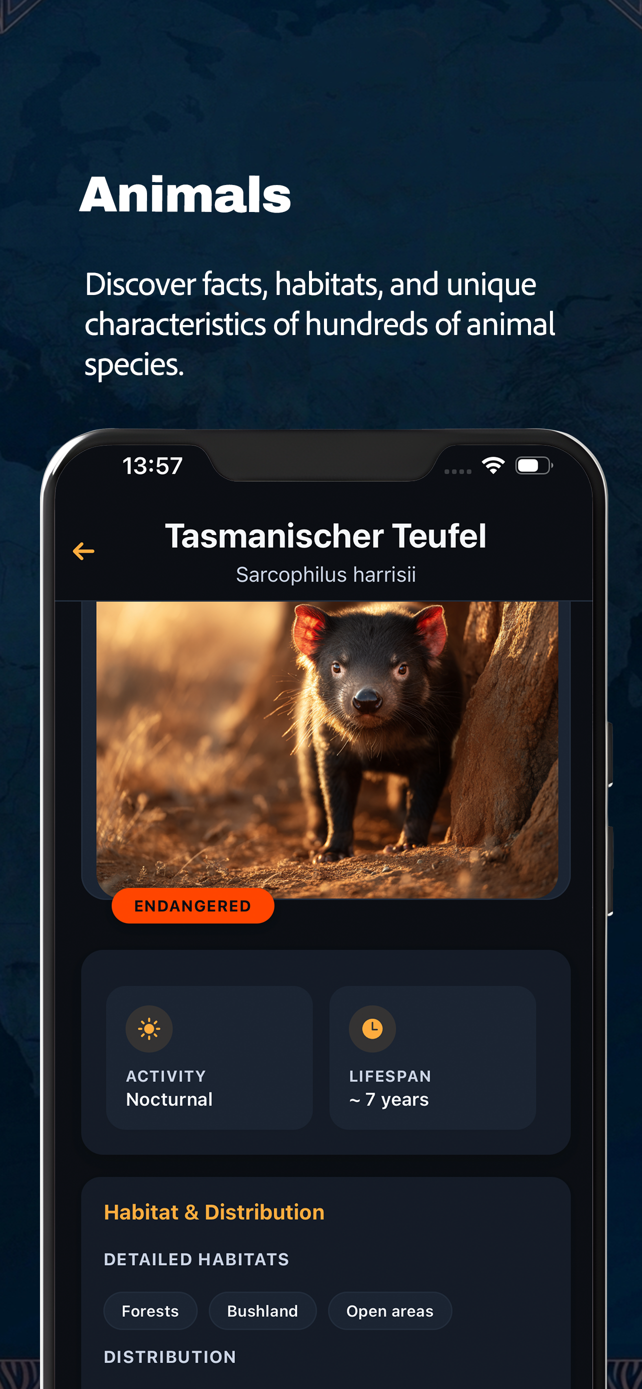 WildWise - Animal Quiz Game