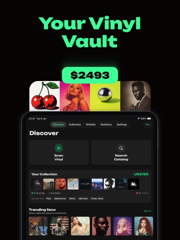 VinylSpot: Scan & Value Record iPad screenshot