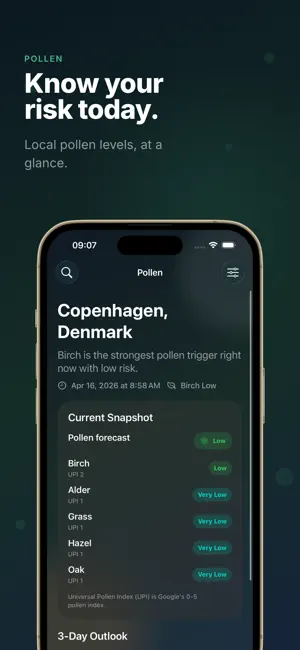 Pollen - Hay Fever Forecasts screenshot 1