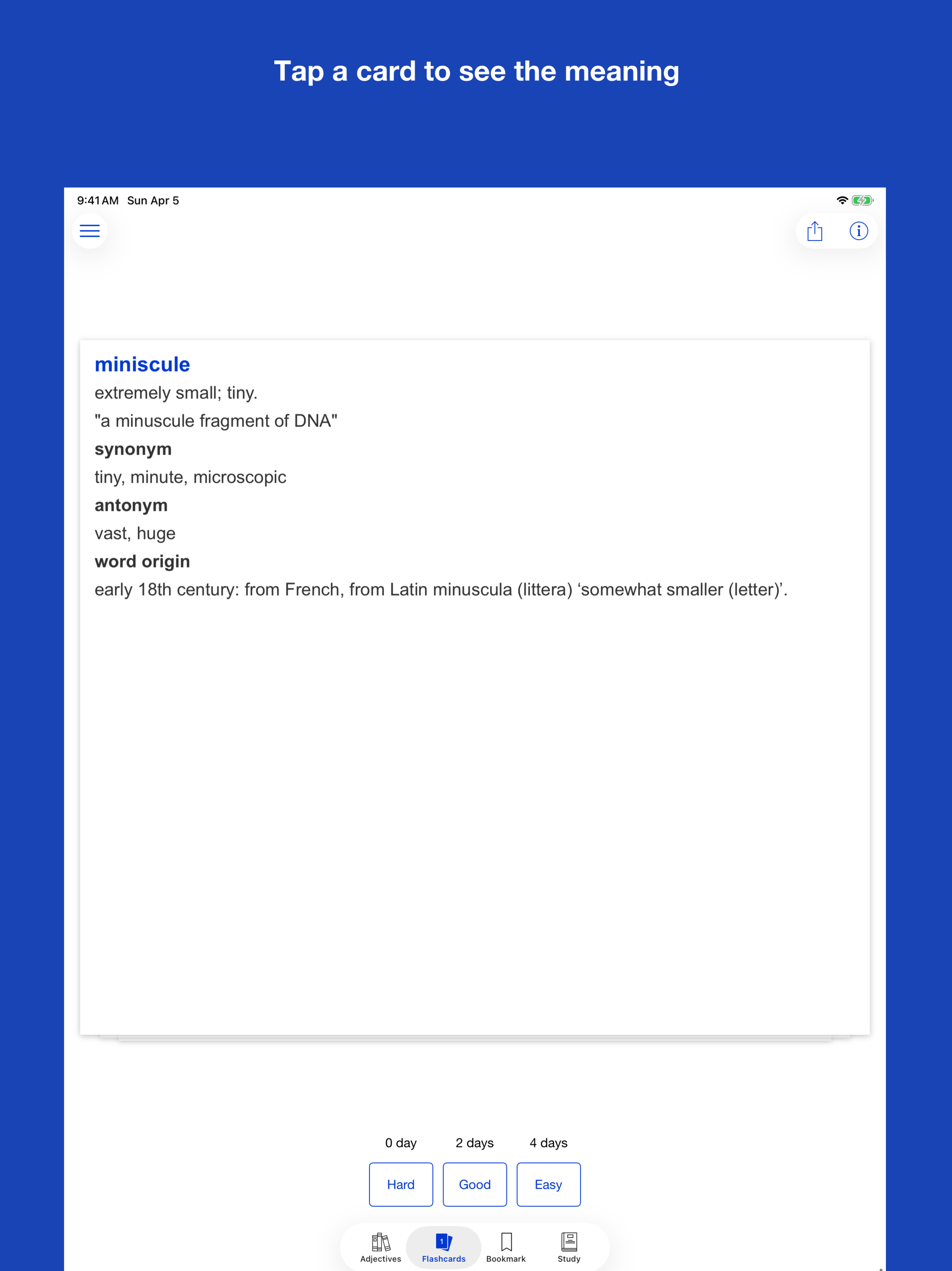 Mastering English Adjectives screenshot 13