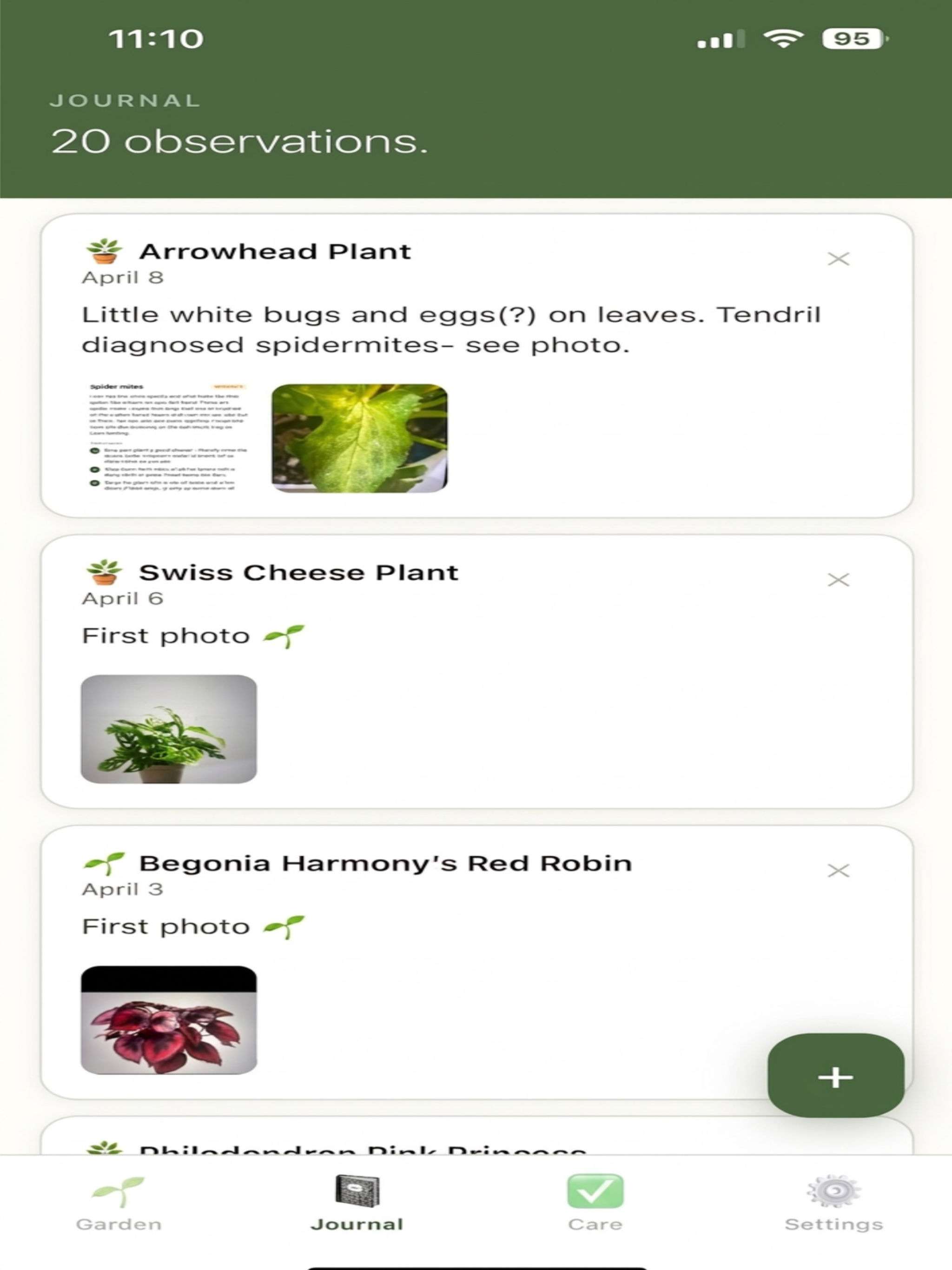 Tendril: Plant Journal