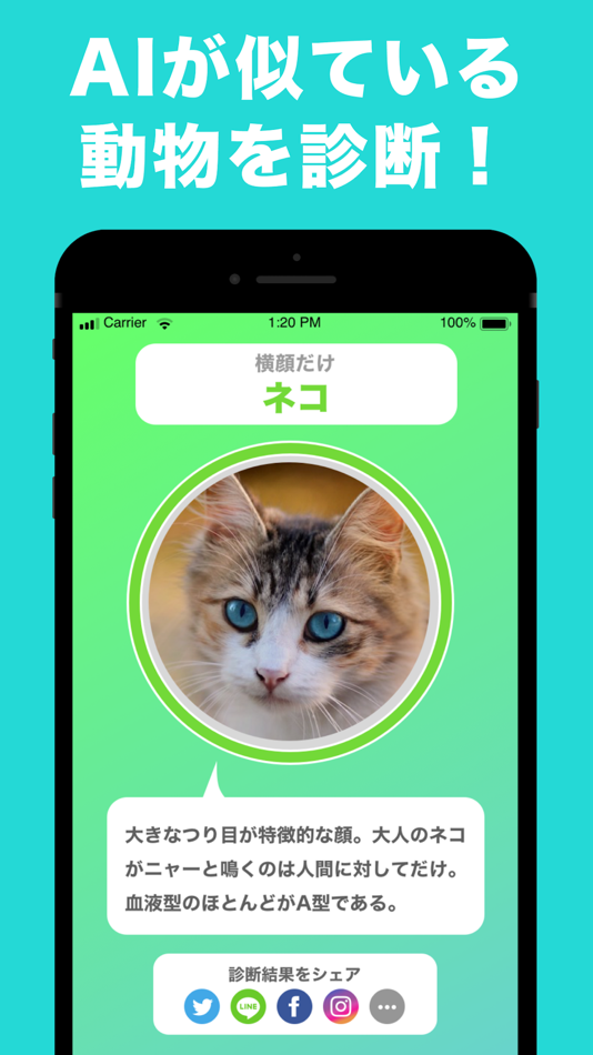 #1. 「動物顔診断」AIが似ているどうぶつ 顔診断 アプリ カメラ (iOS) โดย: ai ito