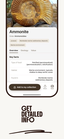 Fossil Identifier: AI Scanner Screenshot 3 of 5