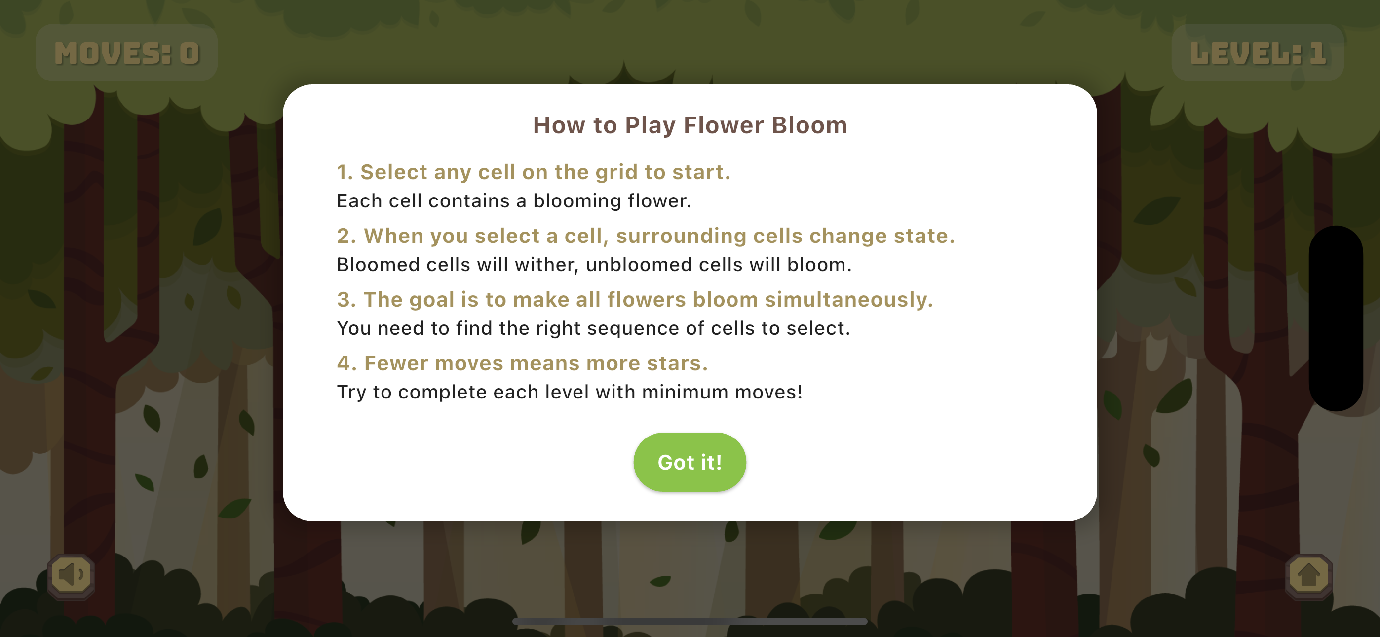 Flower Bloom