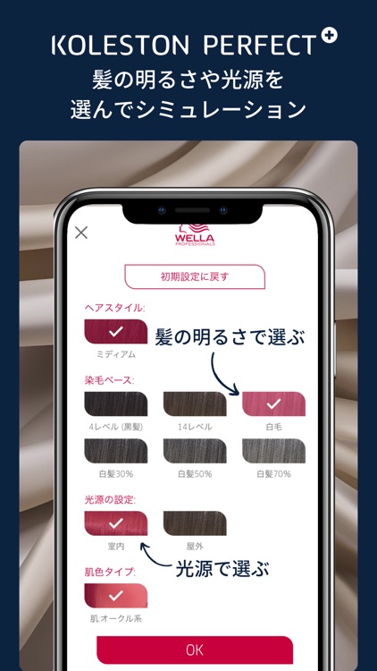 コレストンパーフェクト プラス デジタルカラーチャート screenshot-4