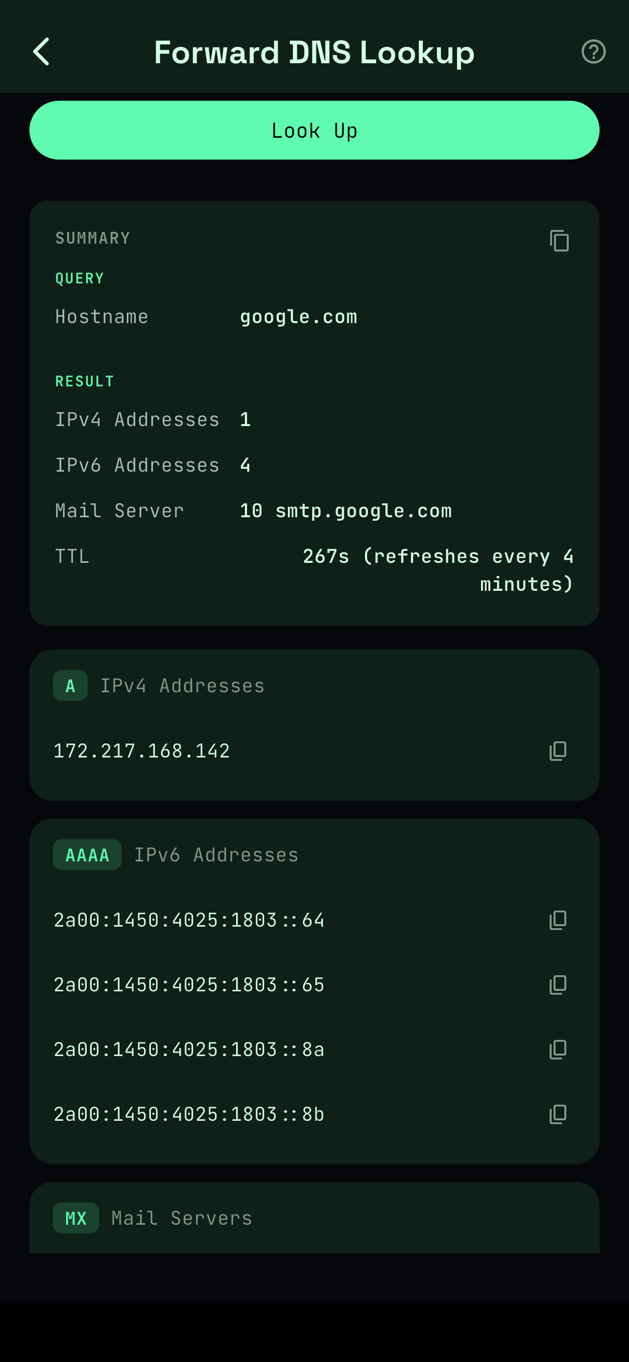Netra: Network Toolkit screenshot 5