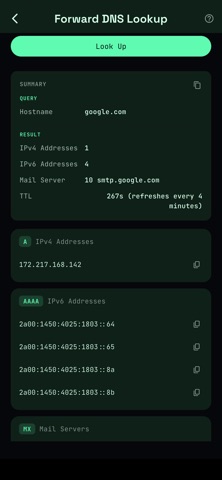 Netra: Network Toolkit screenshot