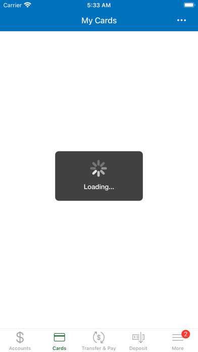 Georgia Primary Bank Consumer Screenshot
