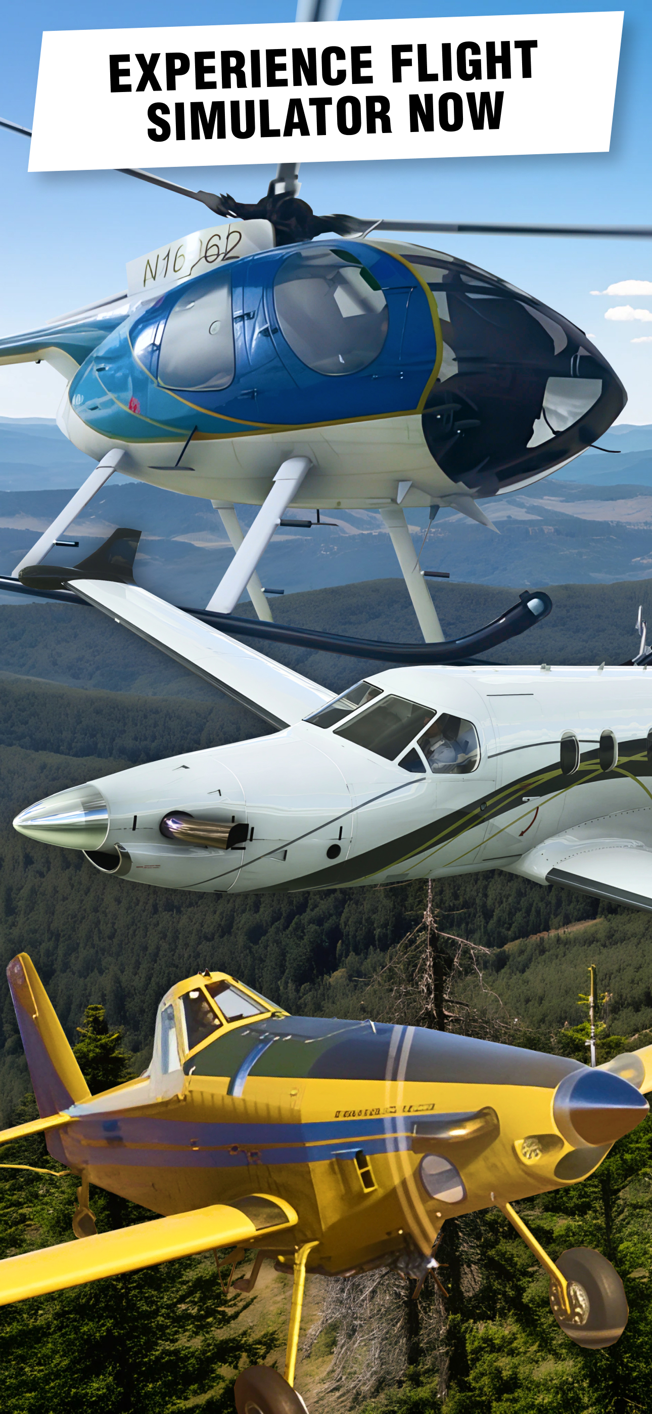 Infinite Flight Simulator: Pro