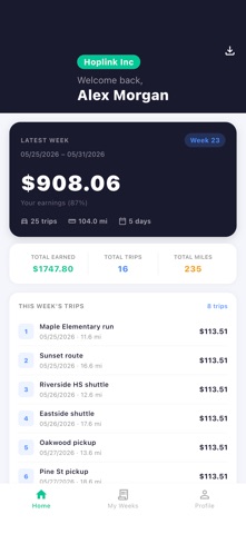 V Payment Screenshot 1 of 6