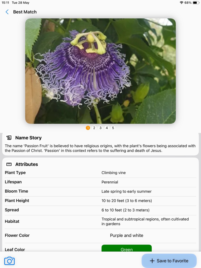 Plant Identifier AI Scanner