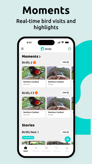Birdfy Screenshot