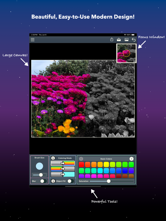PhotoTint iPad screenshot 7 - Photo & Video app