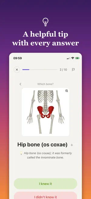 Bonelearn screenshot 4