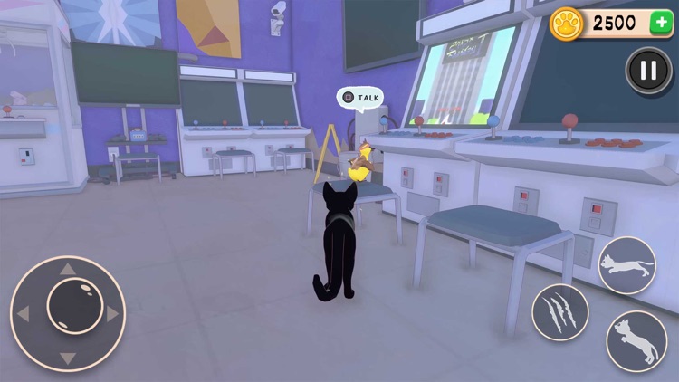 Little Kitty Explore Big City