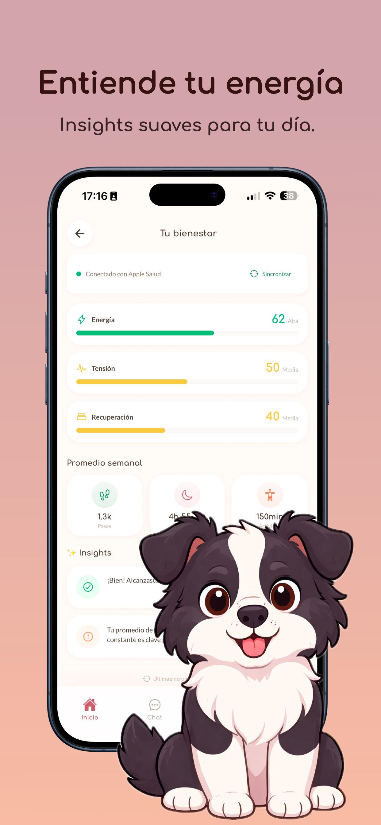 Haika screenshot 7