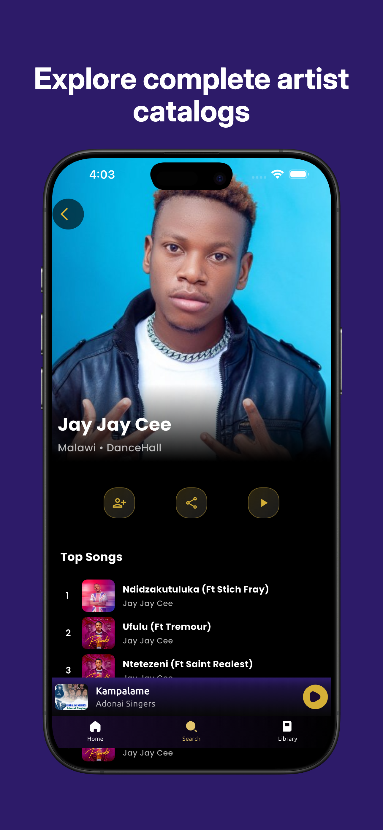 AfroCharts screenshot 5