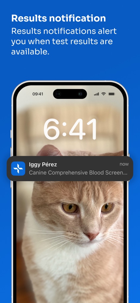 IDEXX VetConnect® PLUS - Medical App | MWM