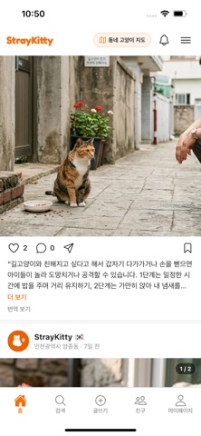 StrayKitty - 모든 고양이를 위한 위대한 여정 screenshot