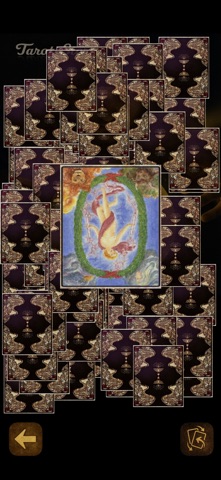 Tarot Story Pro Screenshot 4 of 5