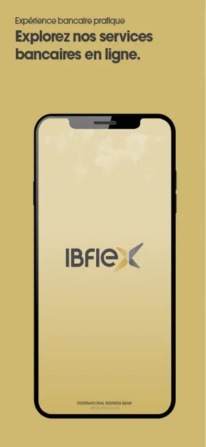 IBFLEX screenshot 1
